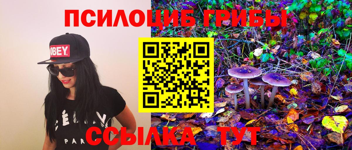 Галлюциногенные грибы MAGIC MUSHROOMS Трёхгорный