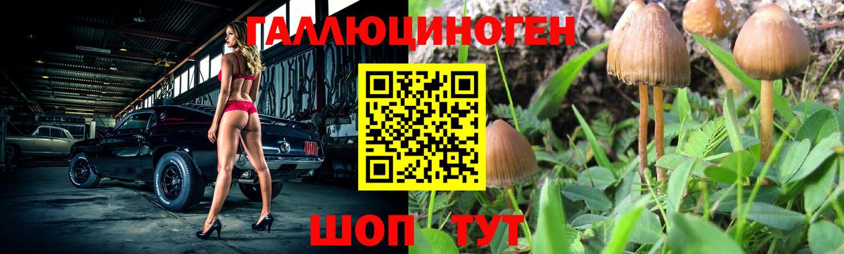 Галлюциногенные грибы Cubensis  Вход с VPN  Трёхгорный  Галлюциногенные грибы мухоморы 
